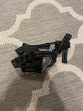 Pienen koiran kuonokoppa Пори