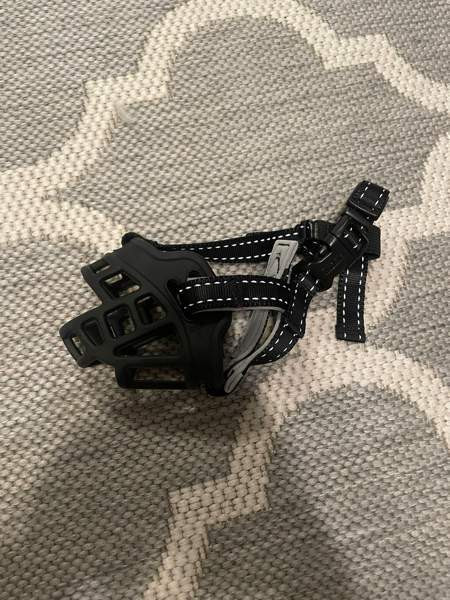 Pienen koiran kuonokoppa Пори - изображение 1