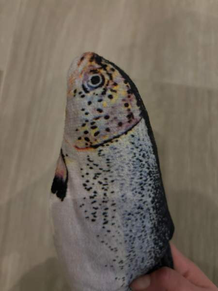 Sätkivä kala Akaa - photo 5