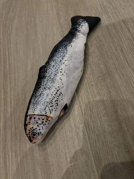 Sätkivä kala Akaa - photo 1