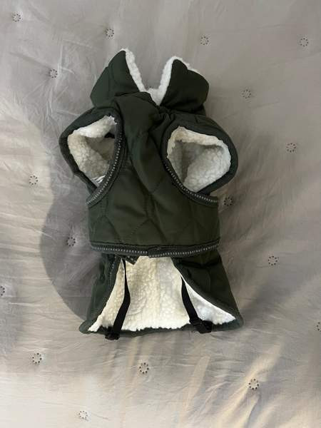 Koiran talvitakki Turku - valokuva 3