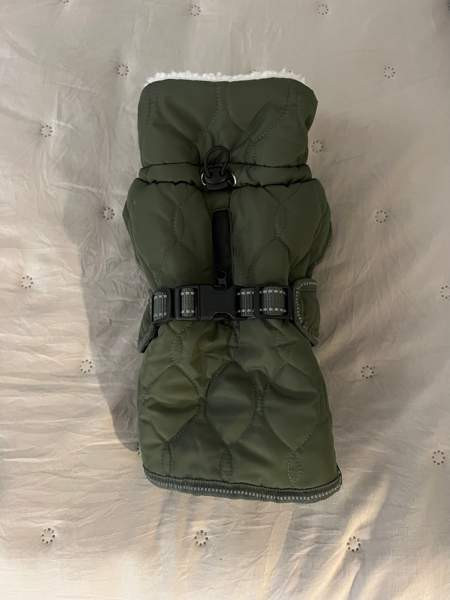 Koiran talvitakki Turku - valokuva 1