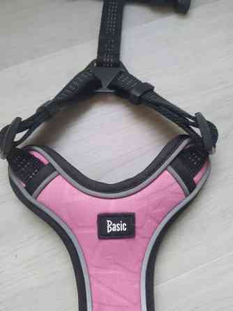 Basic koiran valjaat Oulu