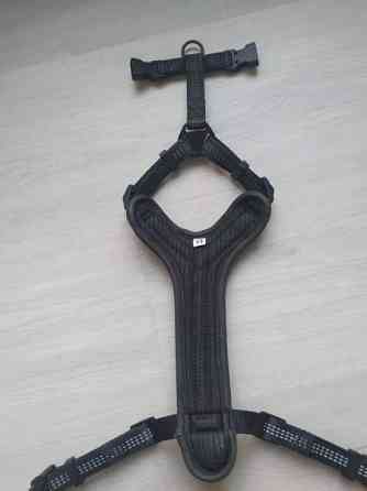 Basic koiran valjaat Oulu