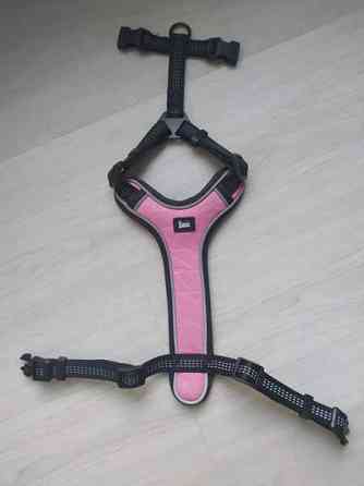 Basic koiran valjaat Oulu