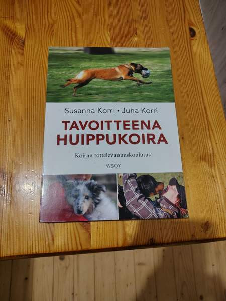 Tavoitteena huippukoira Kuopio – foto 1