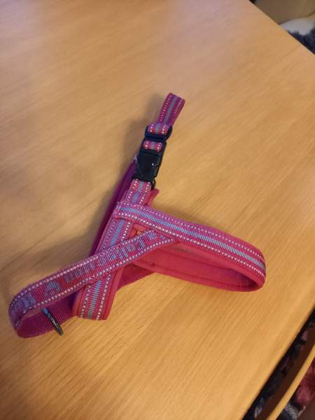 Pienen koiran valjaat Hurtta Suonenjoki – foto 1