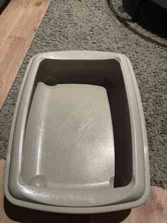 Kissanvessa Rovaniemi