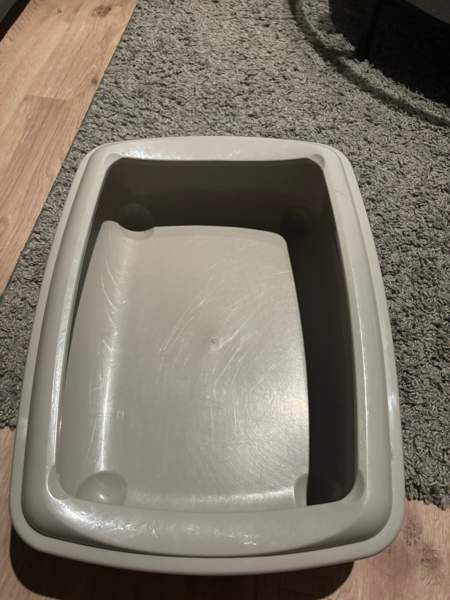 Kissanvessa Rovaniemi - photo 1