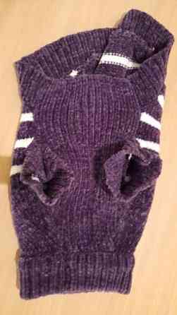 Villapaita kissalle tai pienelle koiralle. Turku