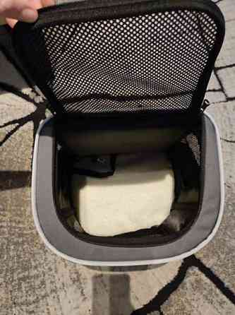 Nobby Plata koiran kantareppu Espoo