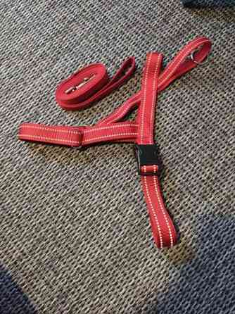 Myyntipuu kaiken kokoista koiratarviketta Ypäjä