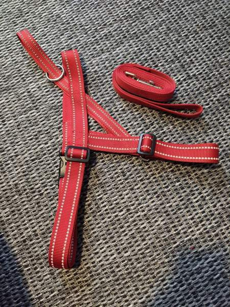 Myyntipuu kaiken kokoista koiratarviketta Ypäjä – foto 3