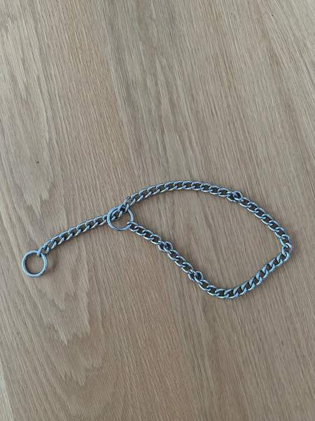 Koiran kaulapanta Kuopio - valokuva 2