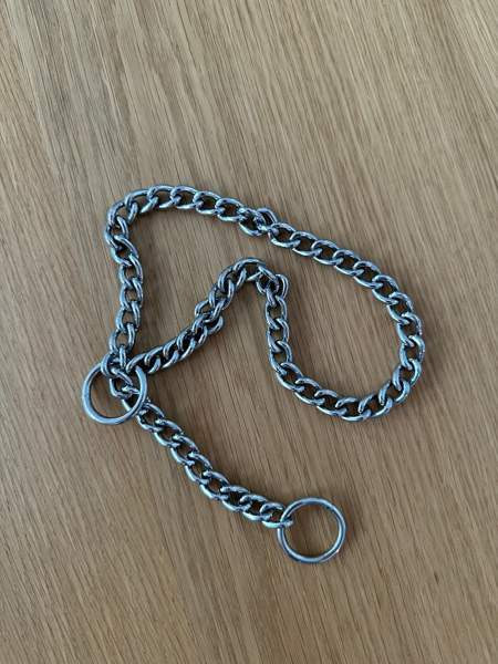 Koiran kaulapanta Kuopio - valokuva 1