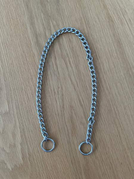 Koiran kaulapanta Kuopio - valokuva 5