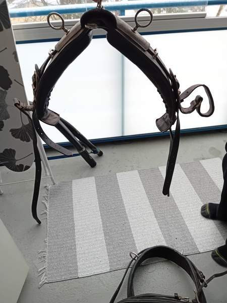 Valjakko valjaat Hyvinkää - valokuva 2