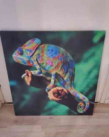 Kameleontti canvastaulu 70x70 Helsinki