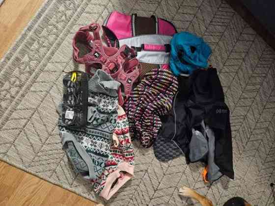 Koiratarvikkeita valjaita, takkeja ym Espoo