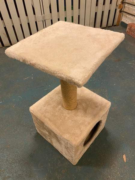 Raapimispuu Tampere - valokuva 2