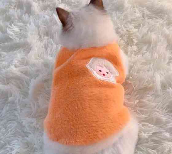 Lämmin liivi kissalle Joensuu