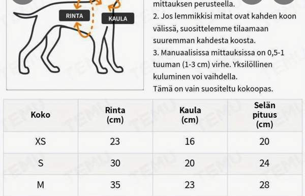 Lämmin liivi kissalle Joensuu - valokuva 3