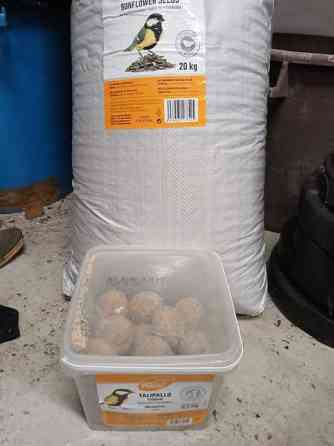 Aurigonkukan siemenet ja talipallot Pirkkala