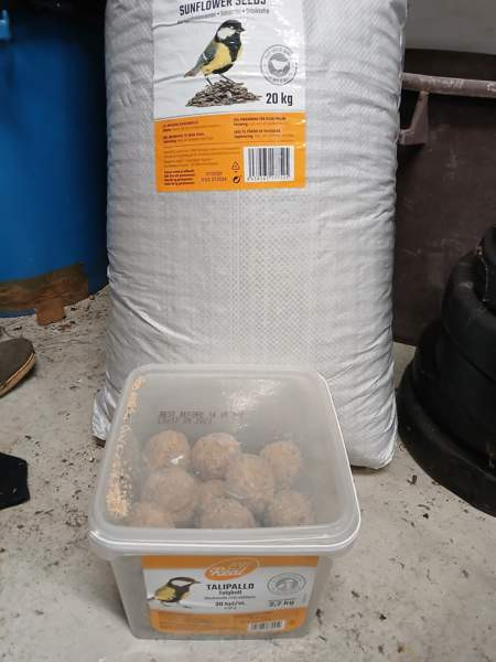 Aurigonkukan siemenet ja talipallot Pirkkala – foto 1