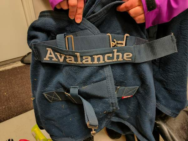 Horze avalance fleeceloimi 155 Maalahti – foto 2