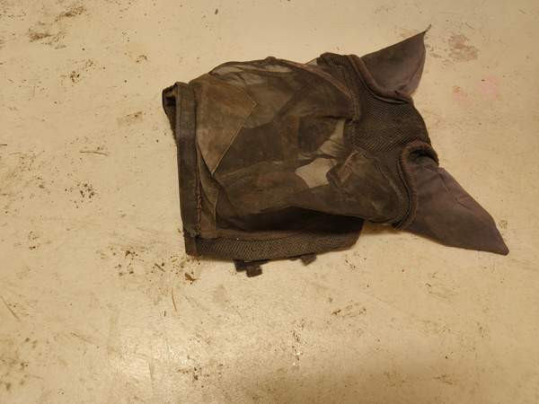 Kärpäshuppu. FULL Maalahti – foto 1