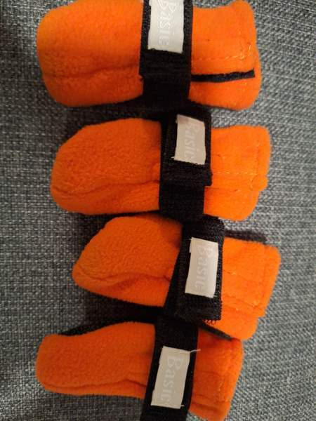 Pienen koiran tossut xs Куопио - изображение 2