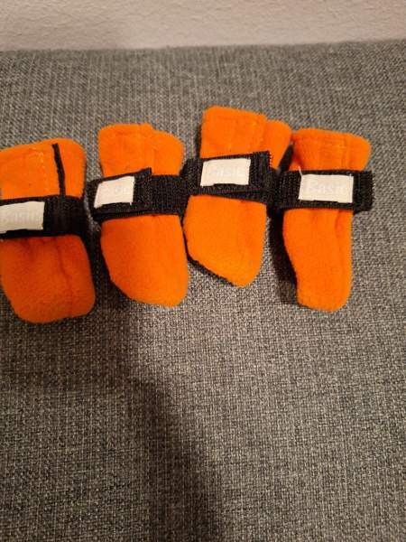 Pienen koiran tossut xs Куопио - изображение 1