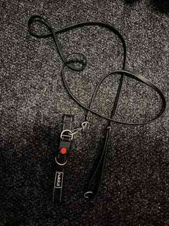 Koiran kaulapanta ja talutin Raisio