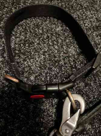 Koiran kaulapanta ja talutin Raisio