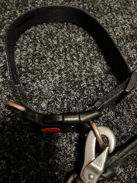 Koiran kaulapanta ja talutin Raisio - valokuva 1