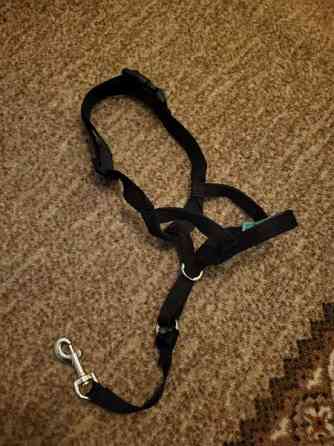 Pro Dog kuonopanta koko 2 Нокиа