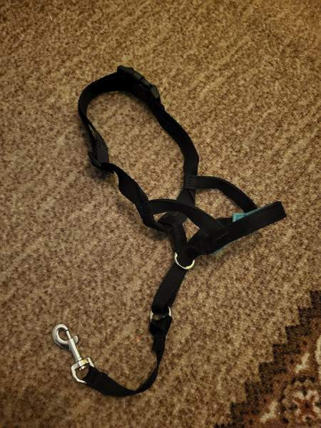 Pro Dog kuonopanta koko 2 Nokia – foto 1