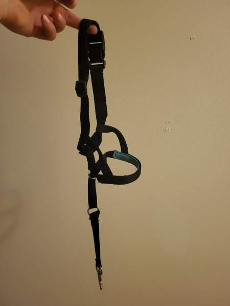 Pro Dog kuonopanta koko 2 Nokia – foto 2