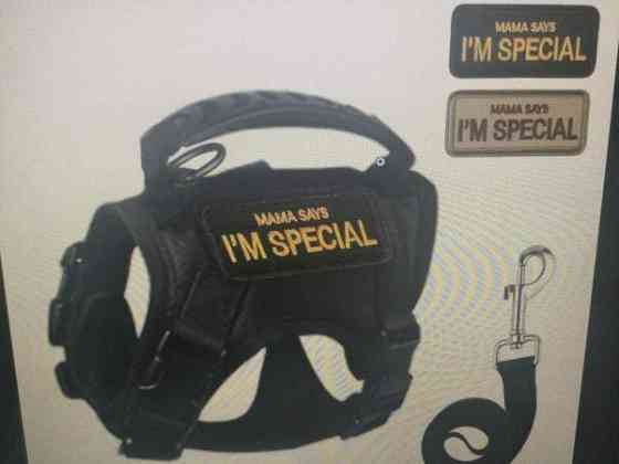 Kissanvaljaat Helsinki