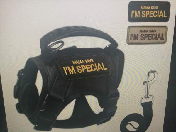 Kissanvaljaat Helsinki - valokuva 1