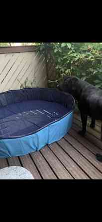 Koirien uima-allas Jyvaeskylae