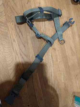 Pienen koiran valjaat Yloejaervi