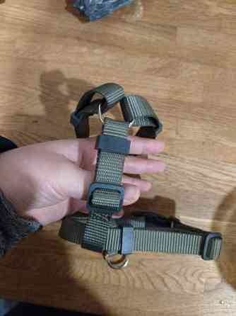 Pienen koiran valjaat Yloejaervi