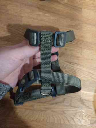 Pienen koiran valjaat Yloejaervi