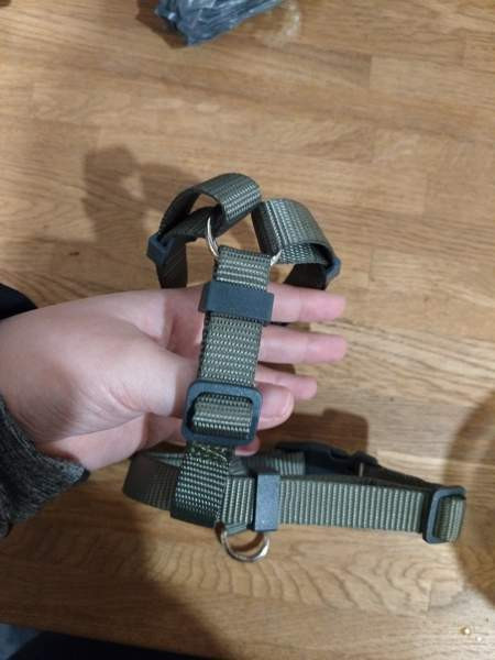 Pienen koiran valjaat Yloejaervi - photo 2