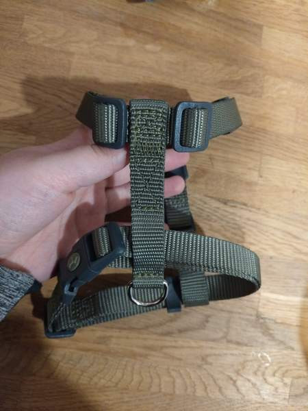 Pienen koiran valjaat Yloejaervi - photo 1