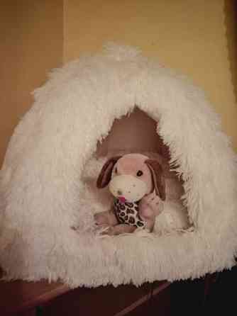 Kissan/koiran peti Hartola