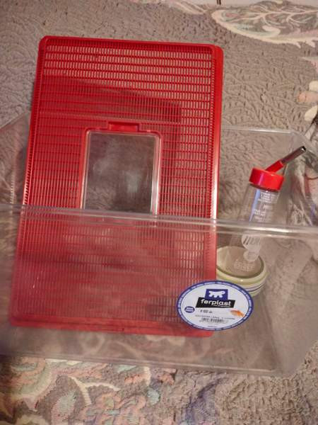 Muovinen terraario Liperi - valokuva 1