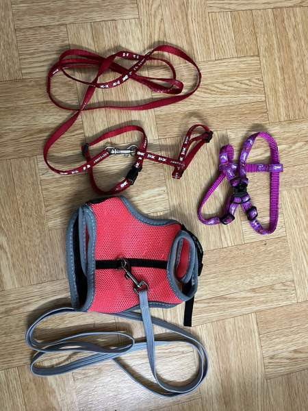 Kanin valjaat Kotka – foto 1