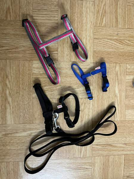 Kanin valjaat Kotka – foto 1